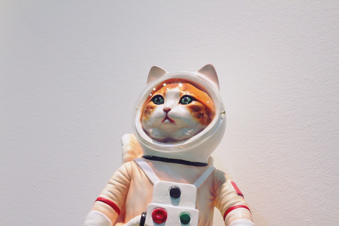 Photo Astronaut cat